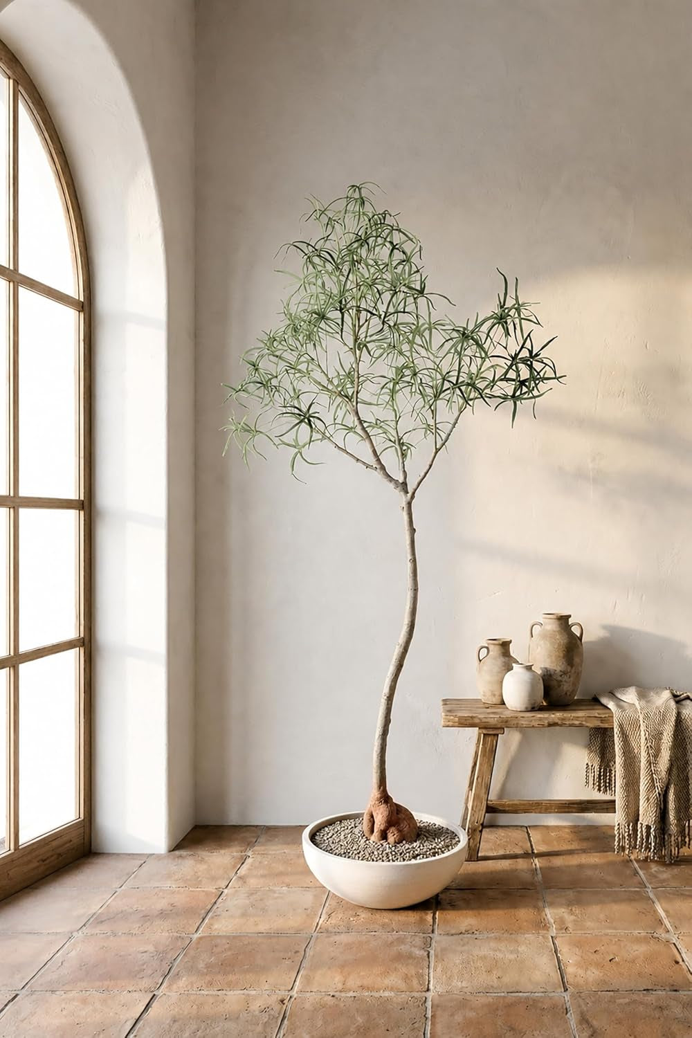 6.5FT Queensland Bottle Tree, Sculptural Faux Tree for Japandi & Wabi-Sabi Interiors, Premium Silk Leaves & Swollen Trunk, Artificial Indoor Plant for Living Room Decor