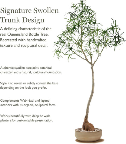 6.5FT Queensland Bottle Tree, Sculptural Faux Tree for Japandi & Wabi-Sabi Interiors, Premium Silk Leaves & Swollen Trunk, Artificial Indoor Plant for Living Room Decor
