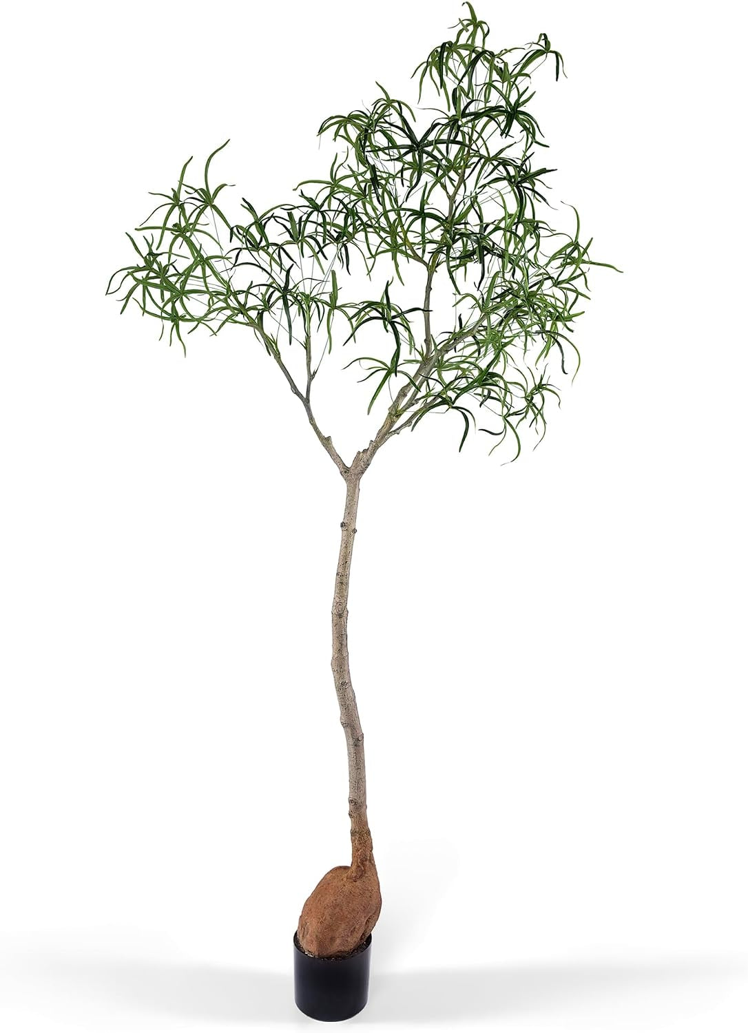 6.5FT Queensland Bottle Tree, Sculptural Faux Tree for Japandi & Wabi-Sabi Interiors, Premium Silk Leaves & Swollen Trunk, Artificial Indoor Plant for Living Room Decor