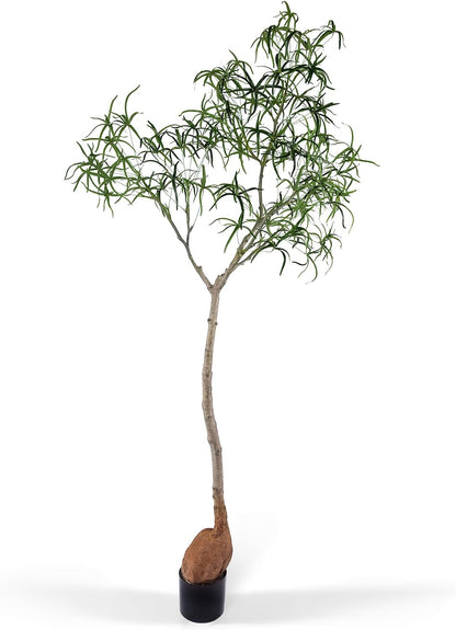 6.5FT Queensland Bottle Tree, Sculptural Faux Tree for Japandi & Wabi-Sabi Interiors, Premium Silk Leaves & Swollen Trunk, Artificial Indoor Plant for Living Room Decor
